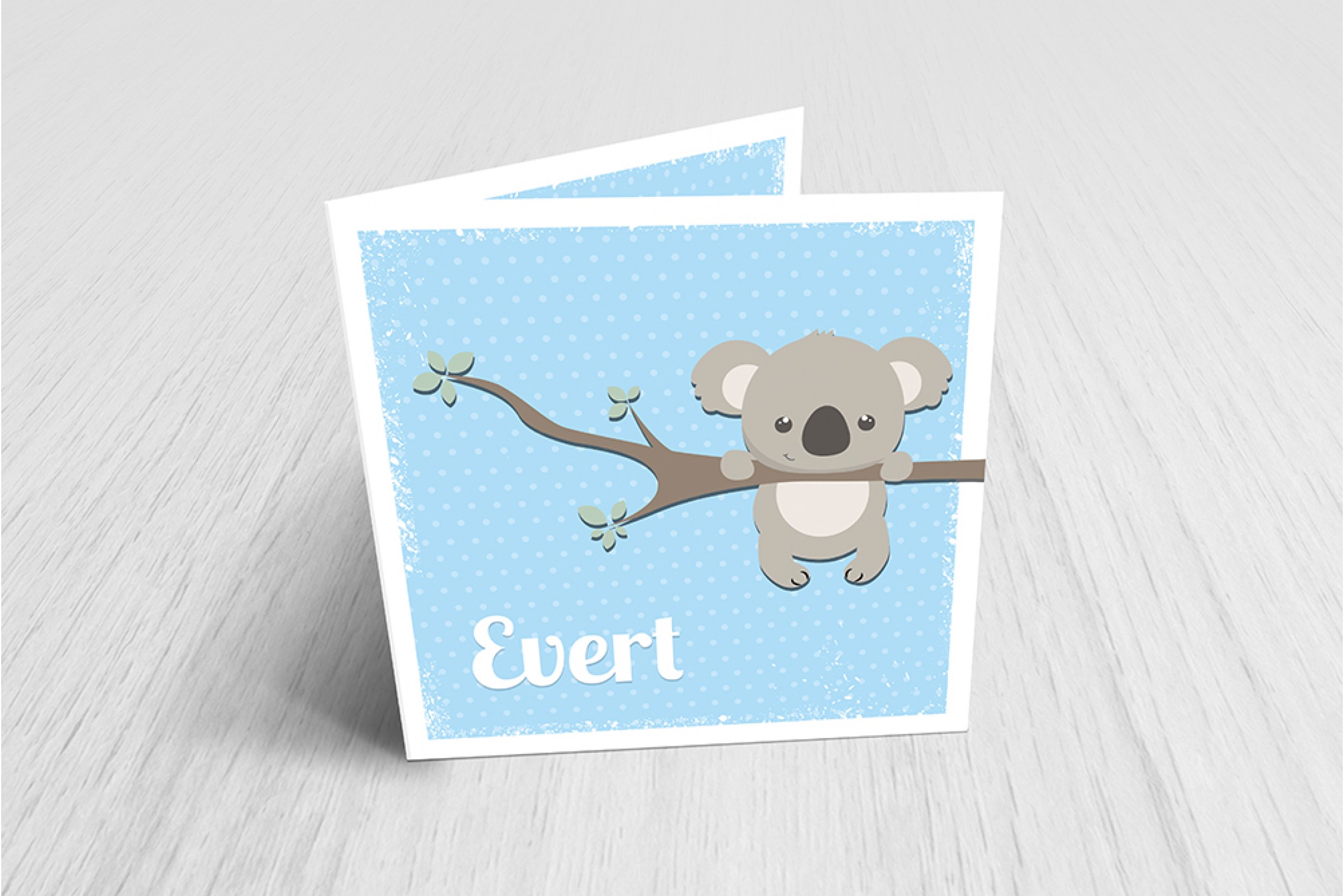 Lieve koalabeer